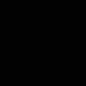 Meet your Posher, Savannah